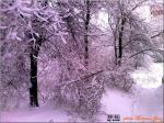 Природа
